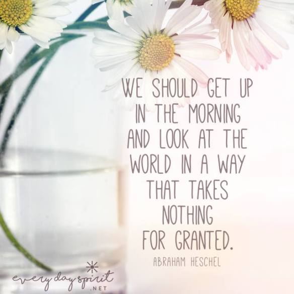 33577639_1151156861693881_427524661006303232_n